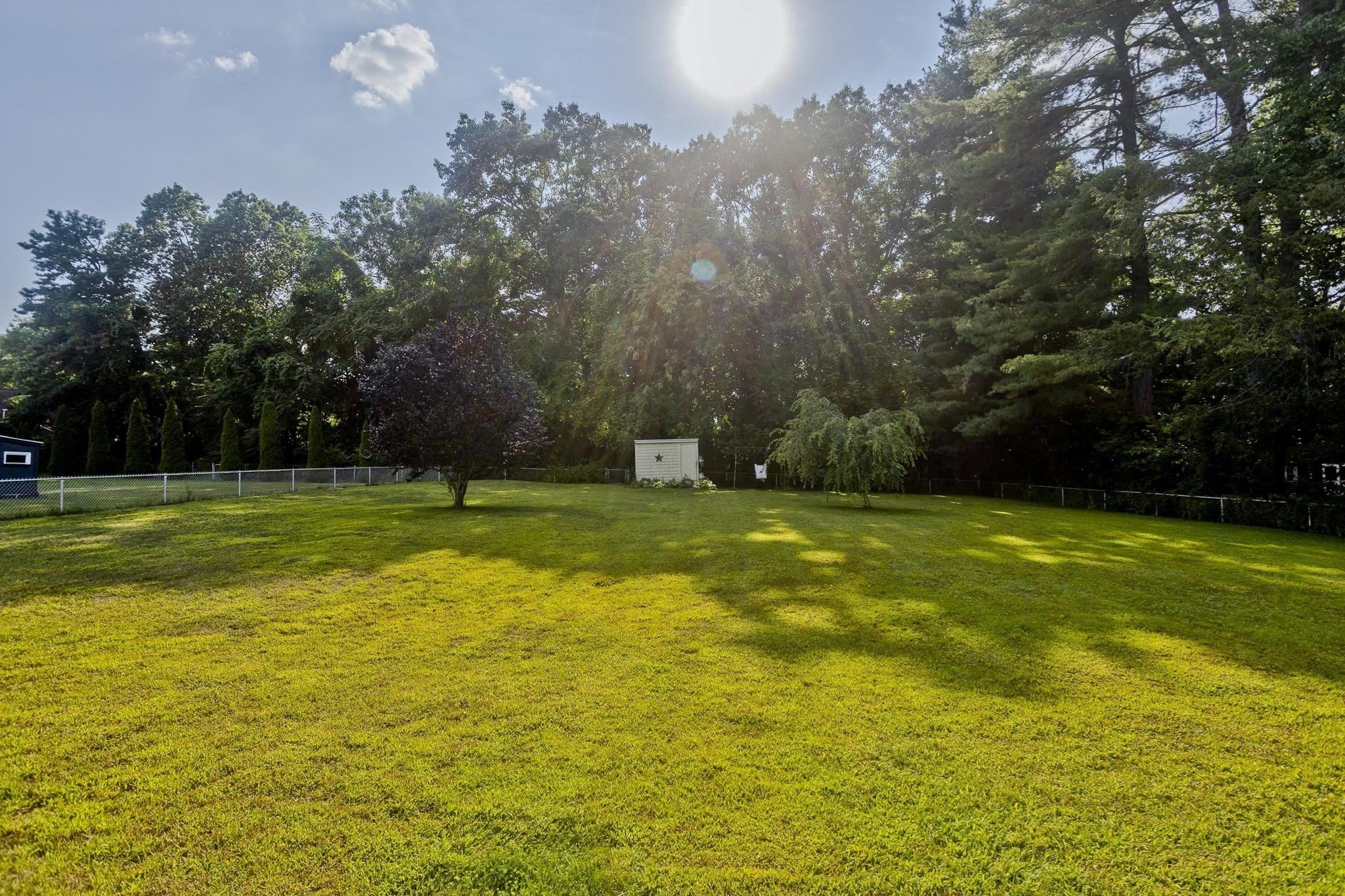 chicopee - #73417252