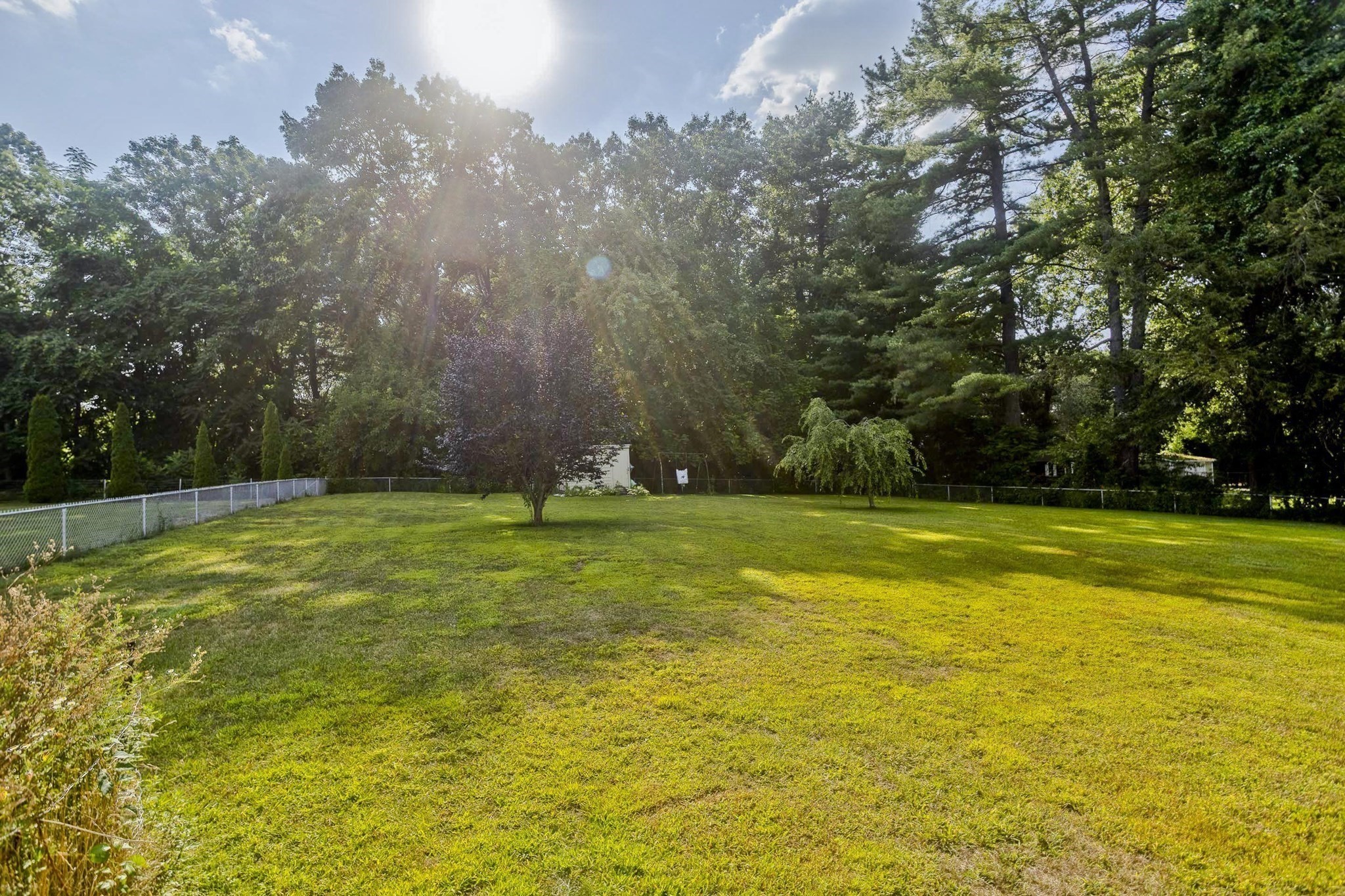 chicopee - #73417252