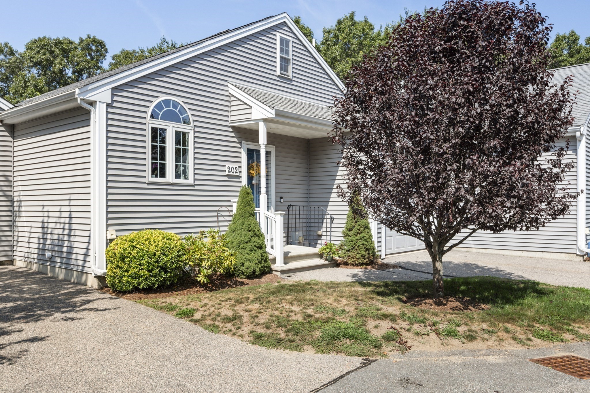 bellingham - #73417263