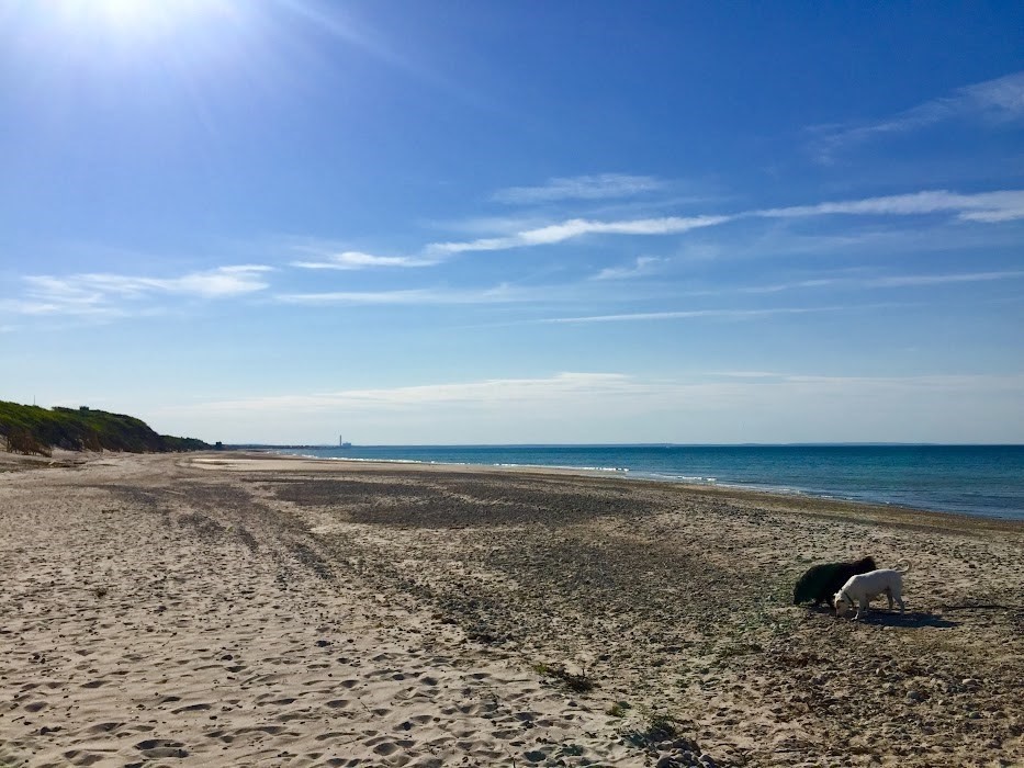 3 Mulberry Circle, Sandwich, MA 02537 - Image 38