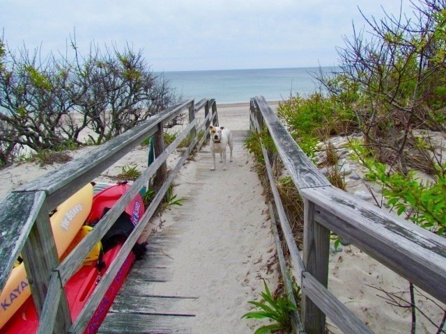 3 Mulberry Circle, Sandwich, MA 02537 - Image 40