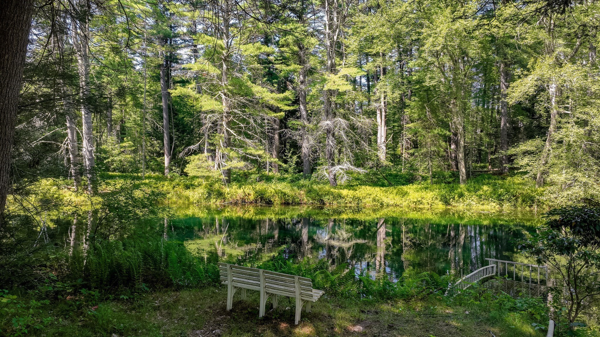 belchertown - #73417454