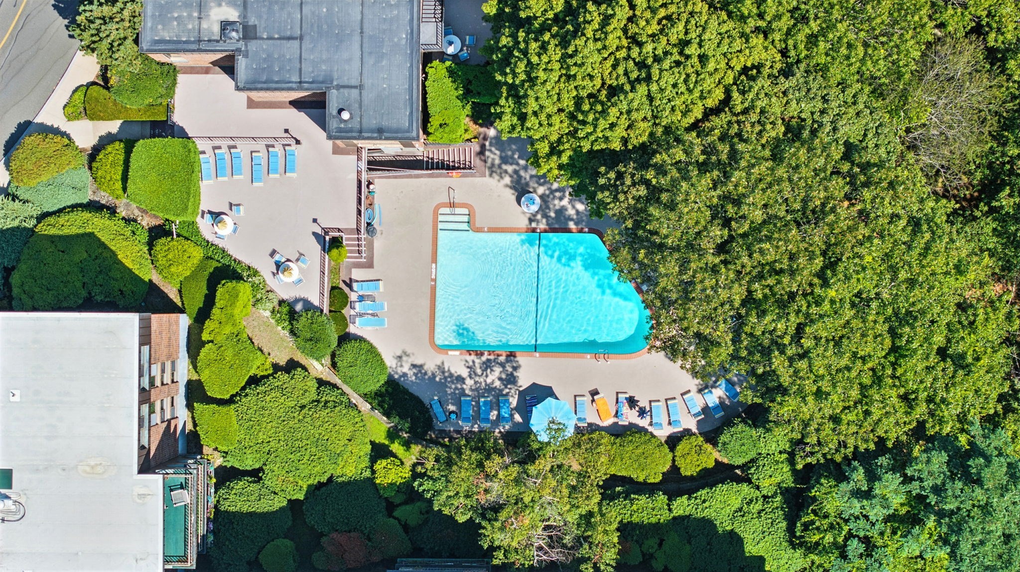 swampscott - #73417591
