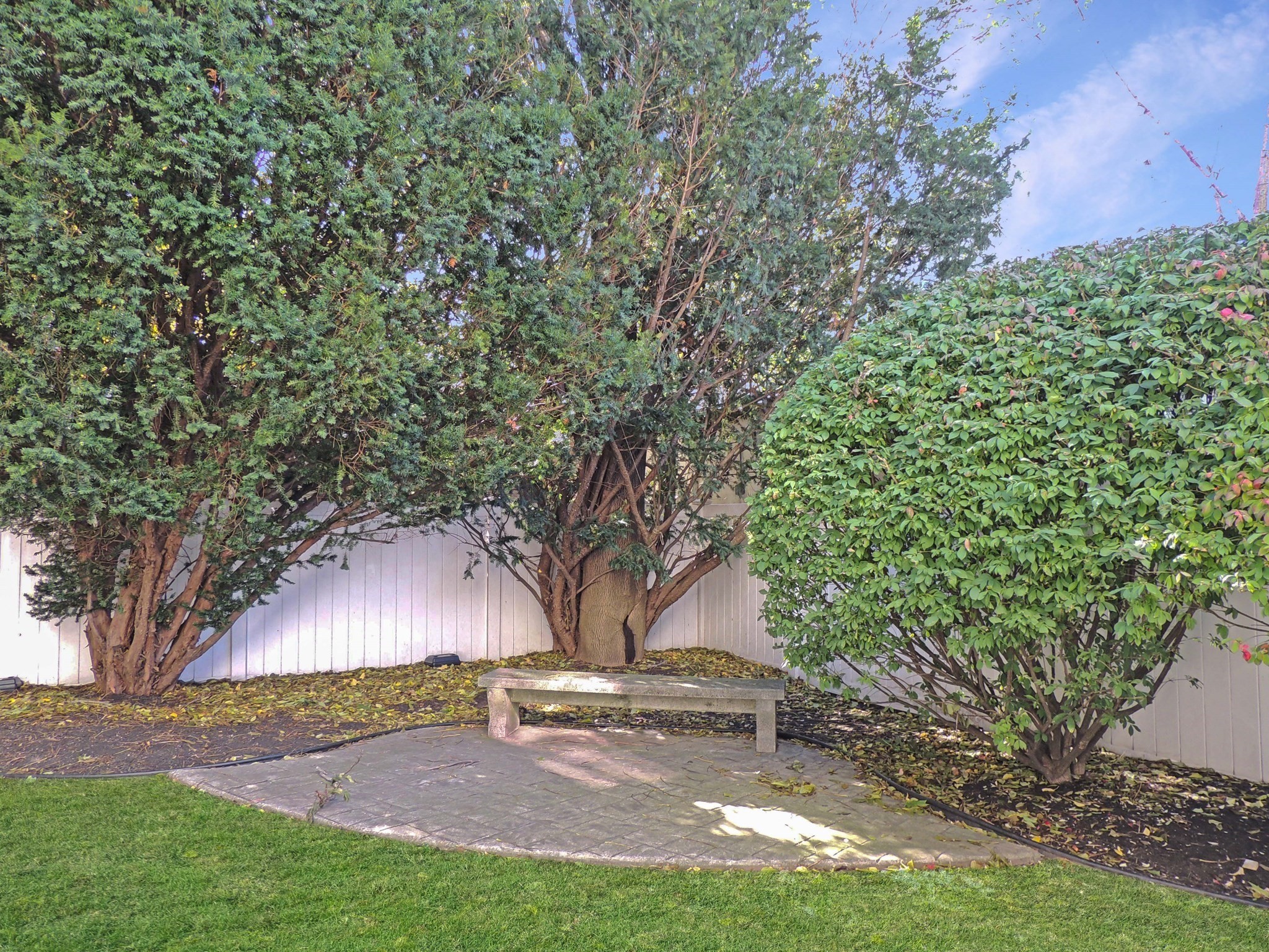 121 E Cottage St. Unit 4, Dorchester, Boston, MA 02125 - Image 18