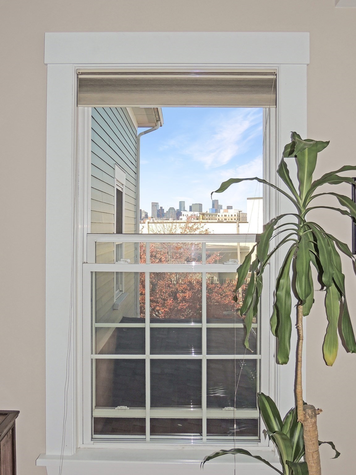 121 E Cottage St. Unit 4, Dorchester, Boston, MA 02125 - Image 6