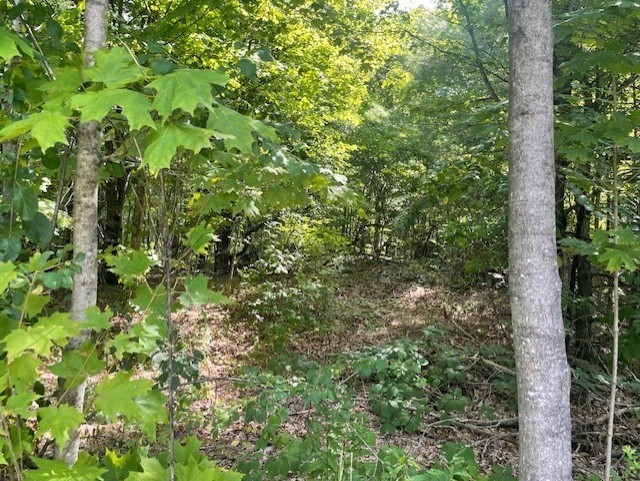 43 Longley Rd, Shirley, MA 01464 - Image 2