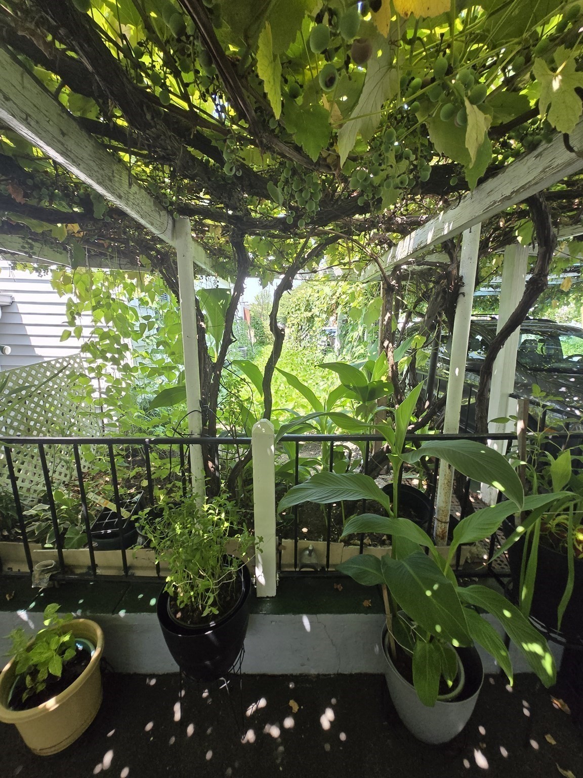 78 Summer Street, Brockton, MA 02302 - Image 7