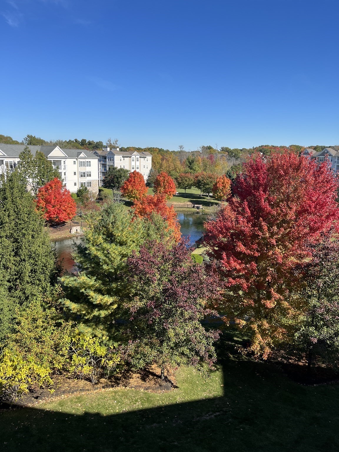 418 John Mahar Hwy Unit 408, Braintree, MA 02184 - Image 33