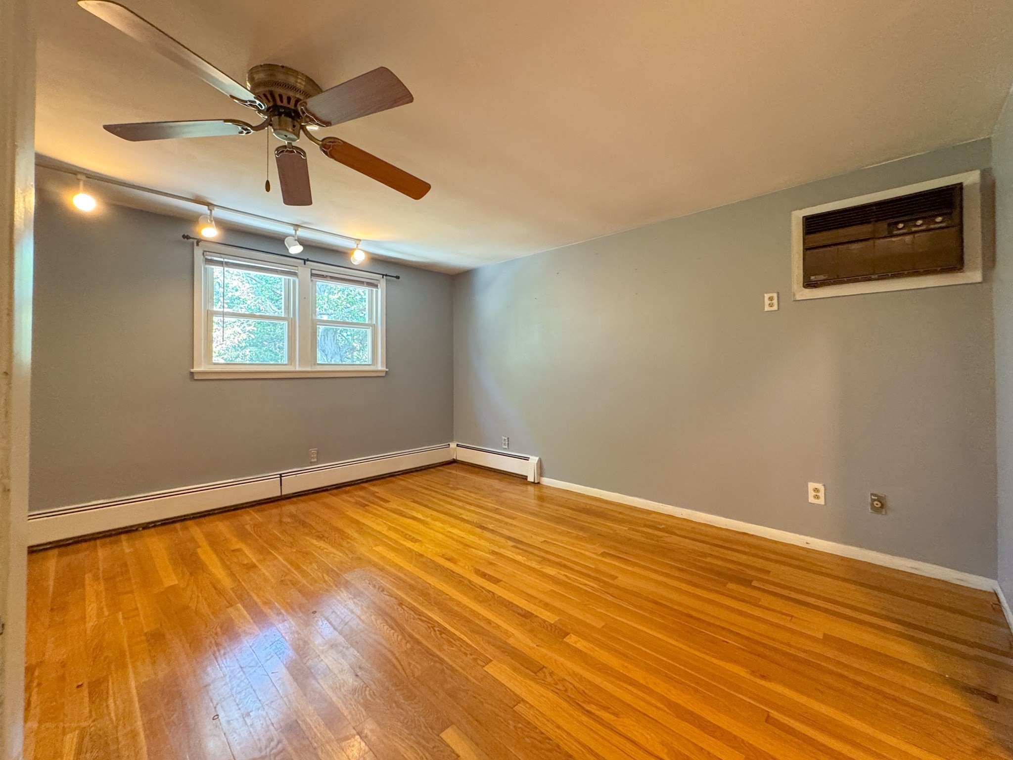 randolph - #73418455
