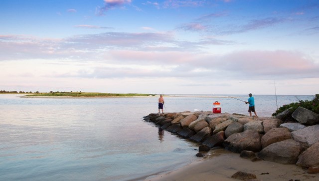barnstable - #73418460