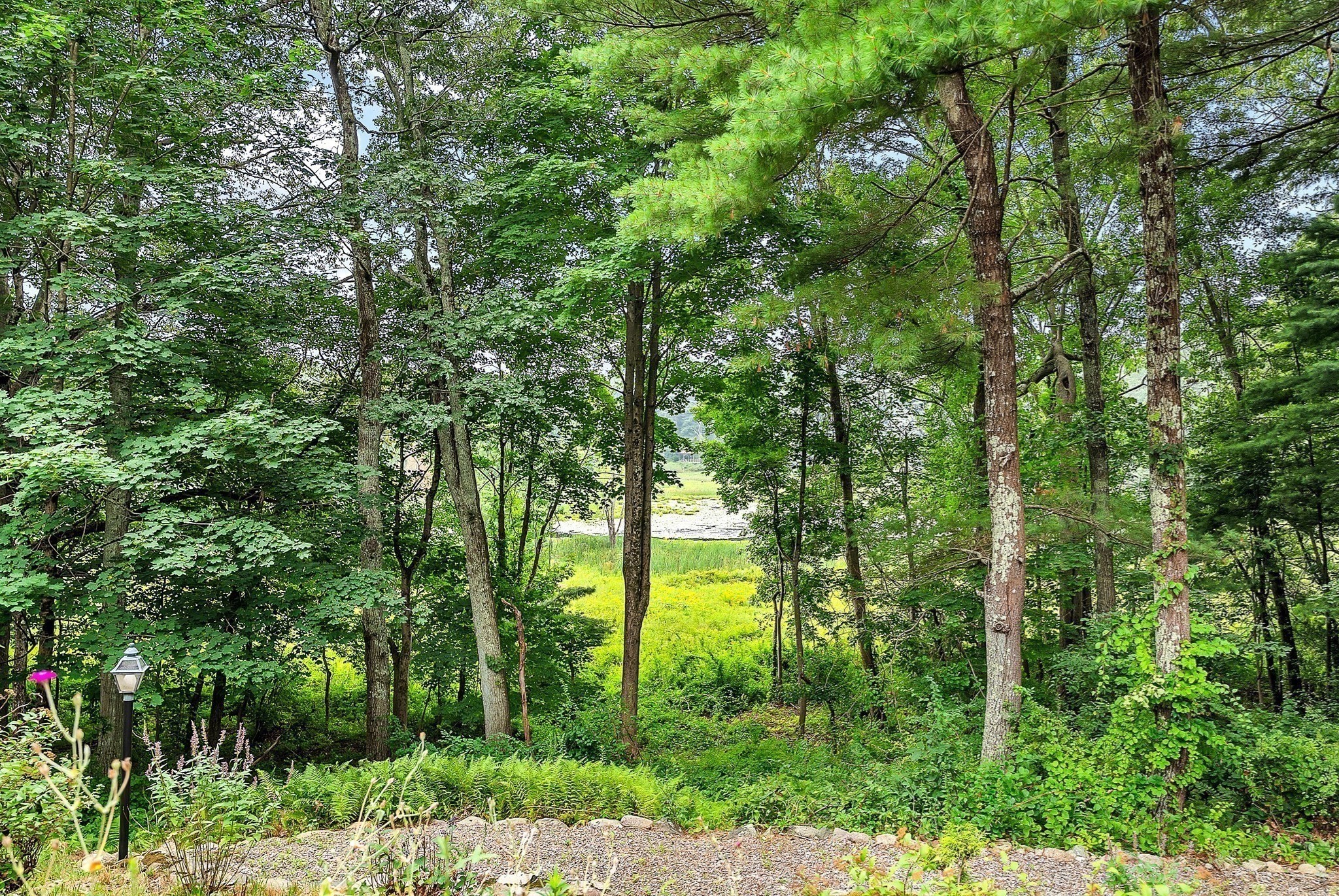 natick - #73418479