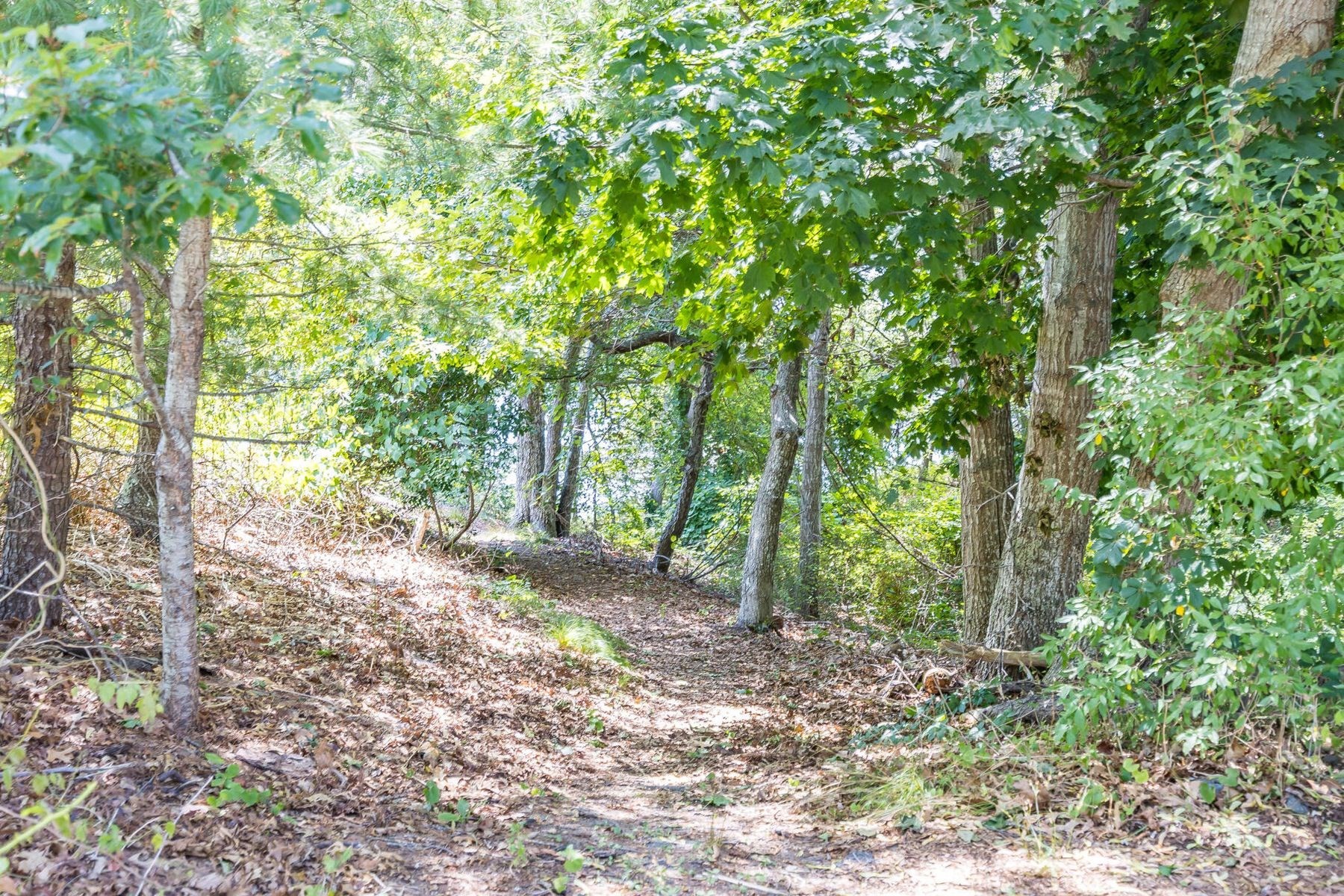 12 Tracey Road, Barnstable, MA 02635 - Image 42