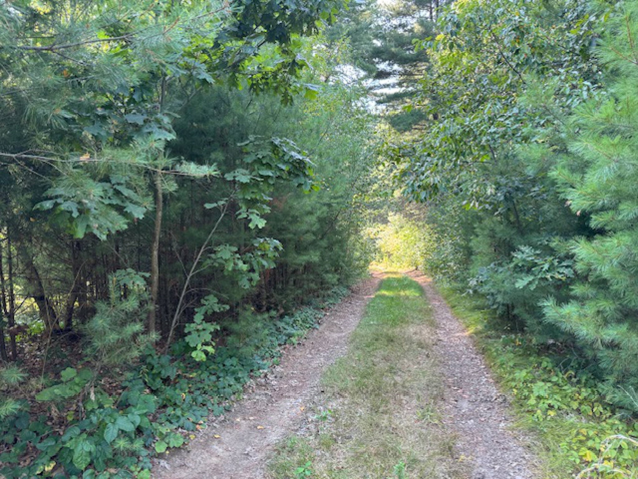 1222 South St, Wrentham, MA 02093 - Image 3