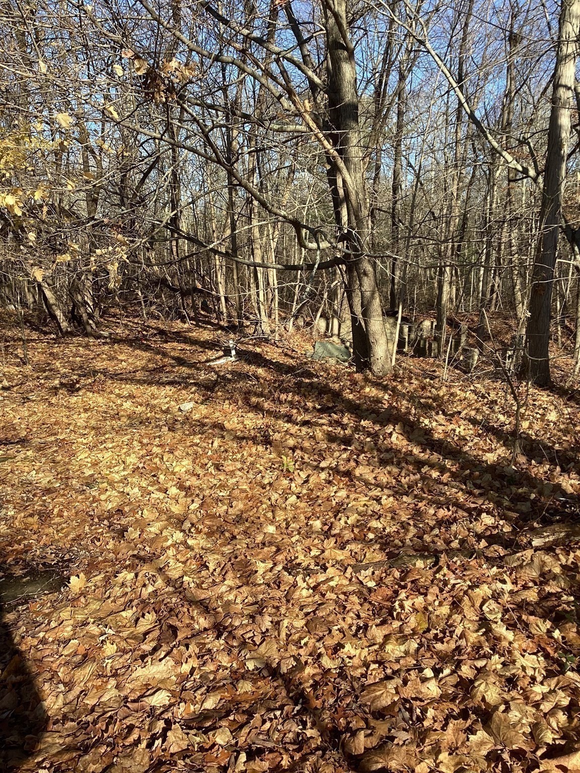 0 Prospect St, Brockton, MA 02301 - Image 6