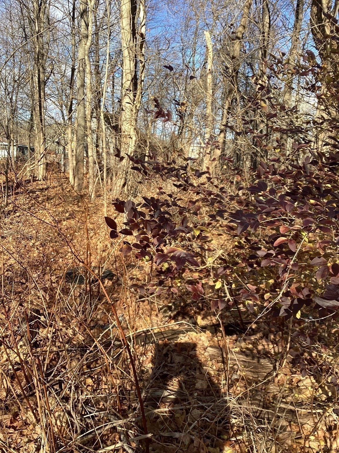 0 Prospect St, Brockton, MA 02301 - Image 7