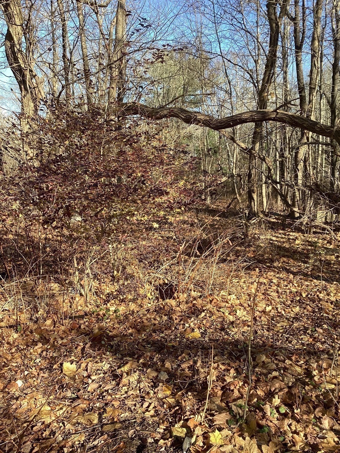 0 Prospect St, Brockton, MA 02301 - Image 8