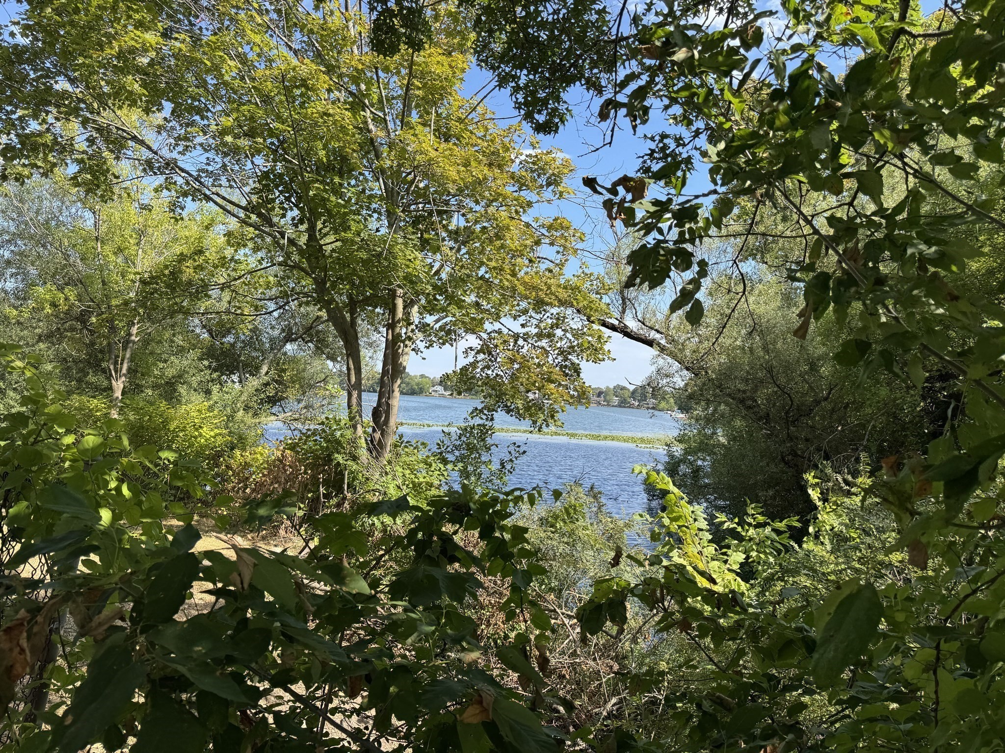 100 Magnolia Ave Unit 5, Lynn, MA 01904 - Image 15