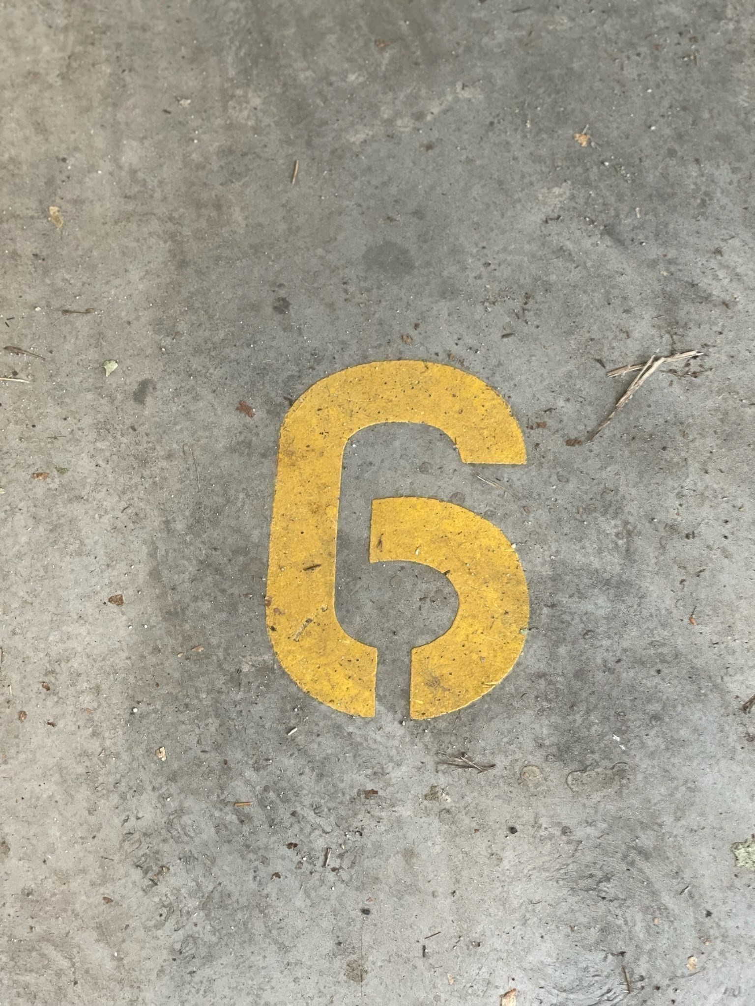 67 Cummins Hwy Unit 101, Roslindale, Boston, MA 02131 - Image 21