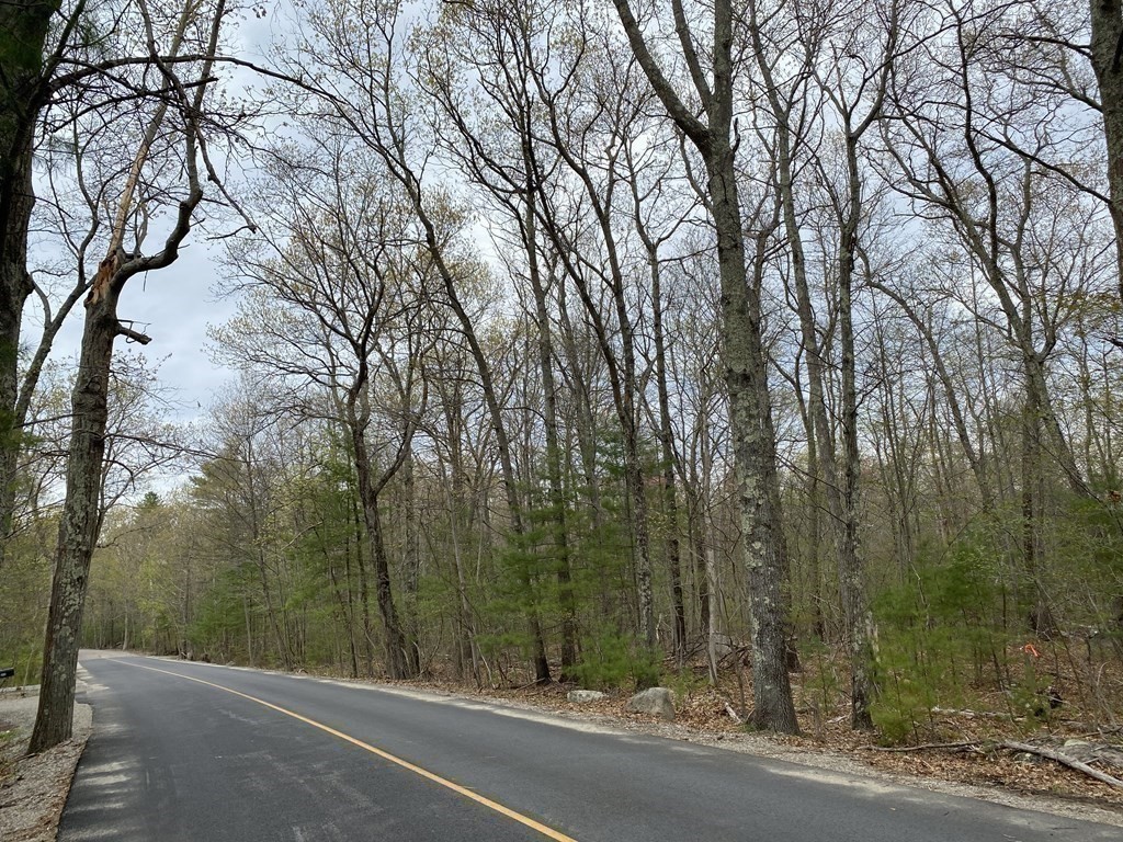 376 Mountain St, Sharon, MA 02067 - Image 6