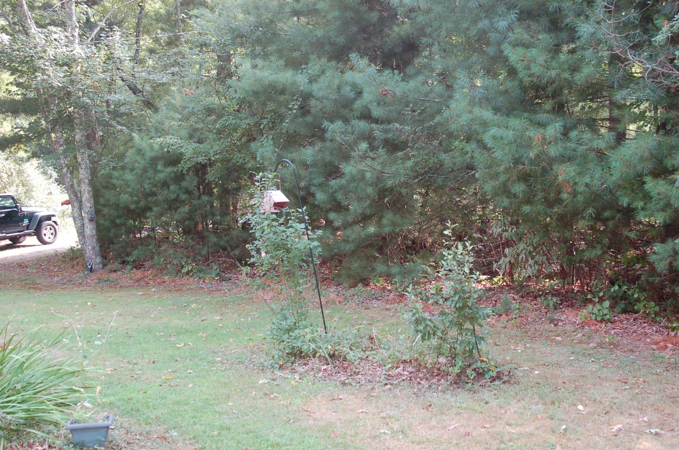 195 Slab Bridge Rd, Freetown, MA 02702 - Image 30