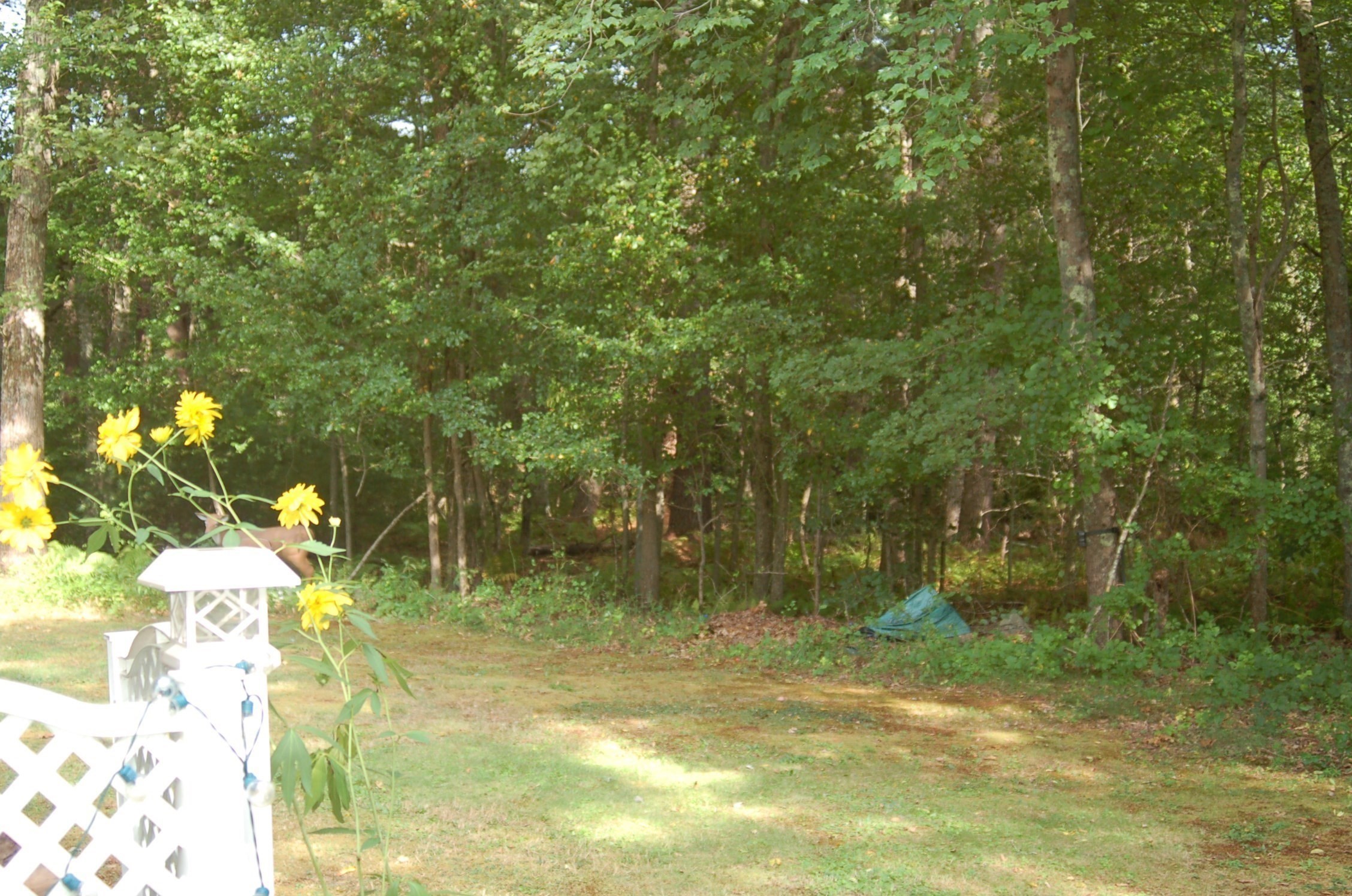 195 Slab Bridge Rd, Freetown, MA 02702 - Image 31