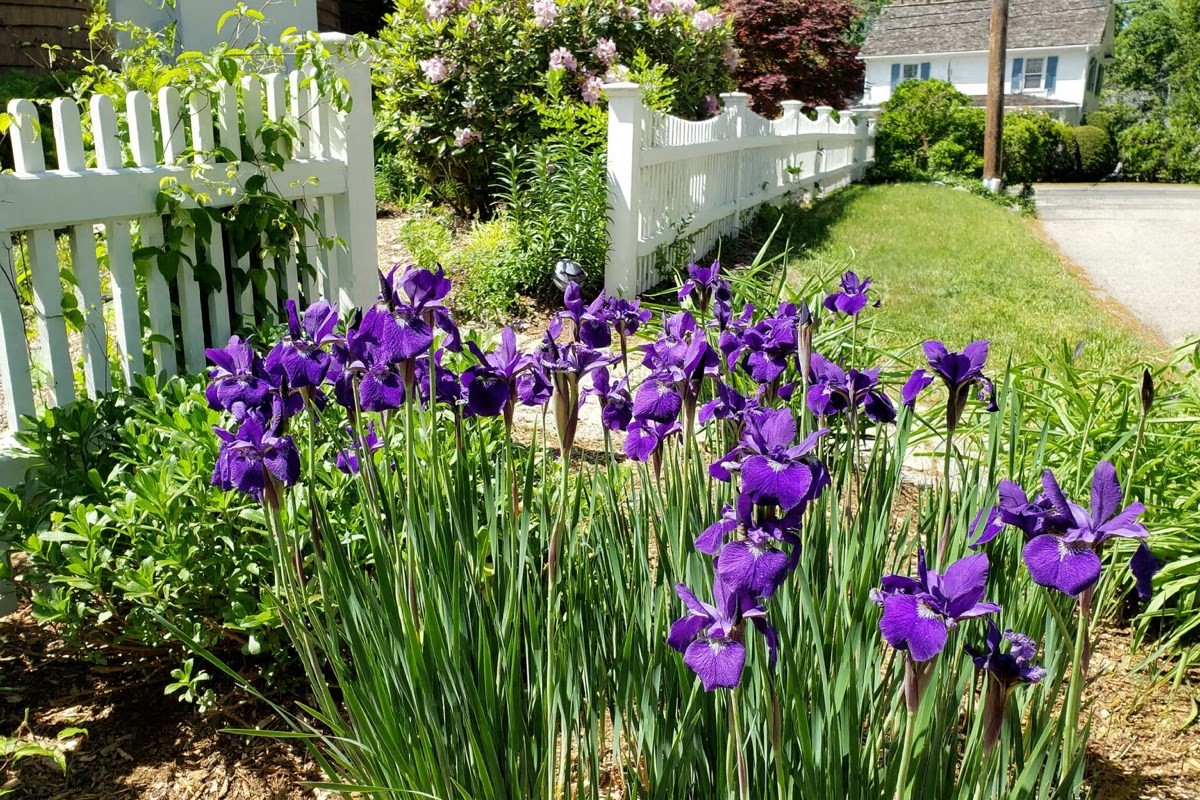 2380 Massachusetts Ave, Lexington, MA 02421 - Image 30