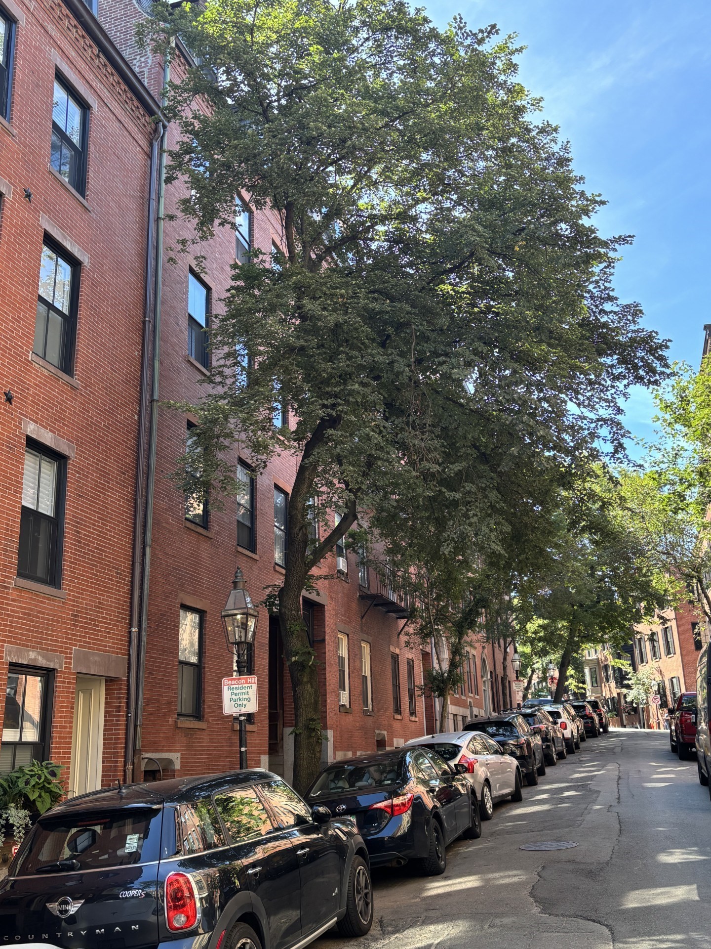 59 W Cedar Street Unit 6, Beacon Hill, Boston, MA 02114