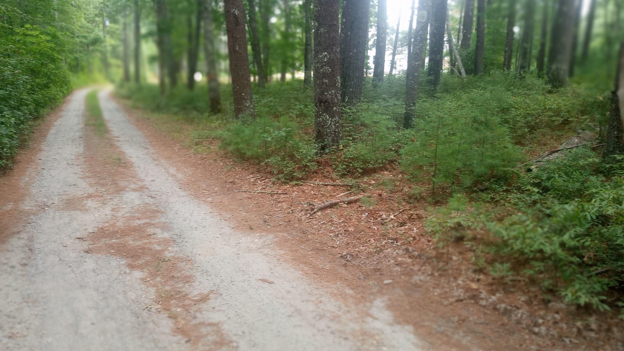 0 Cross Neck, Marion, MA 02738 - Image 1