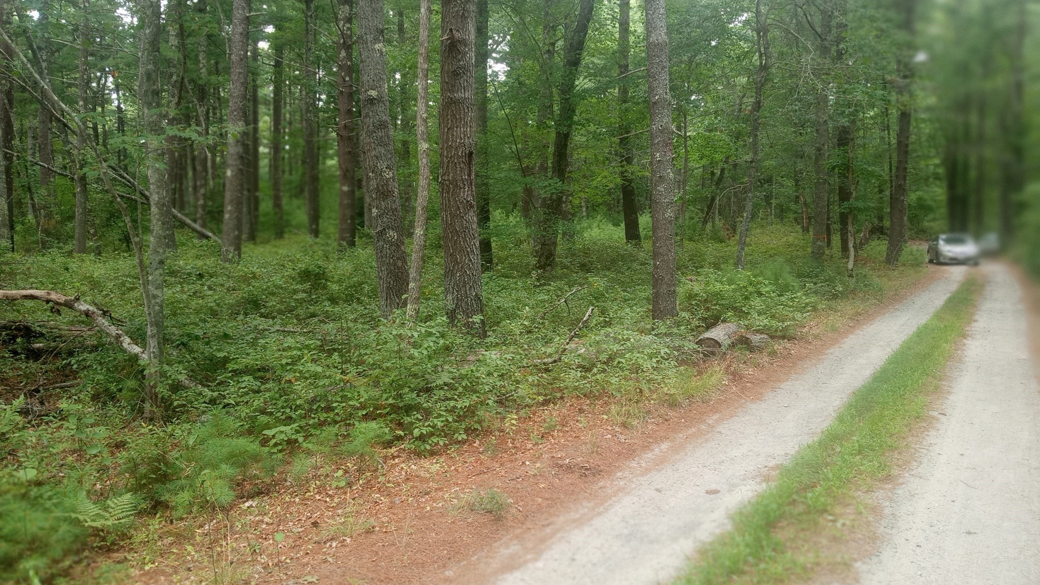 0 Cross Neck, Marion, MA 02738 - Image 1