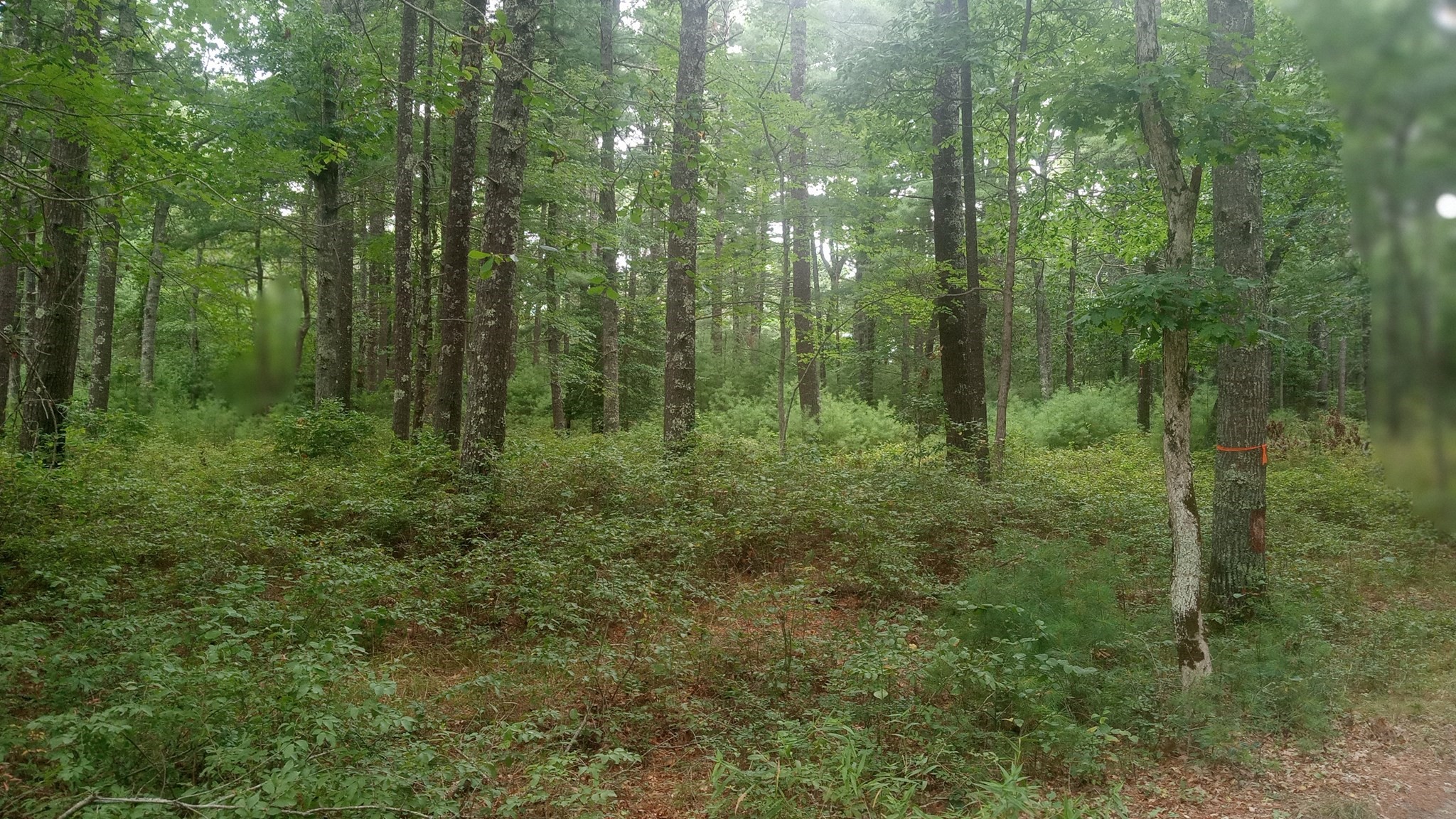 0 Cross Neck, Marion, MA 02738 - Image 2