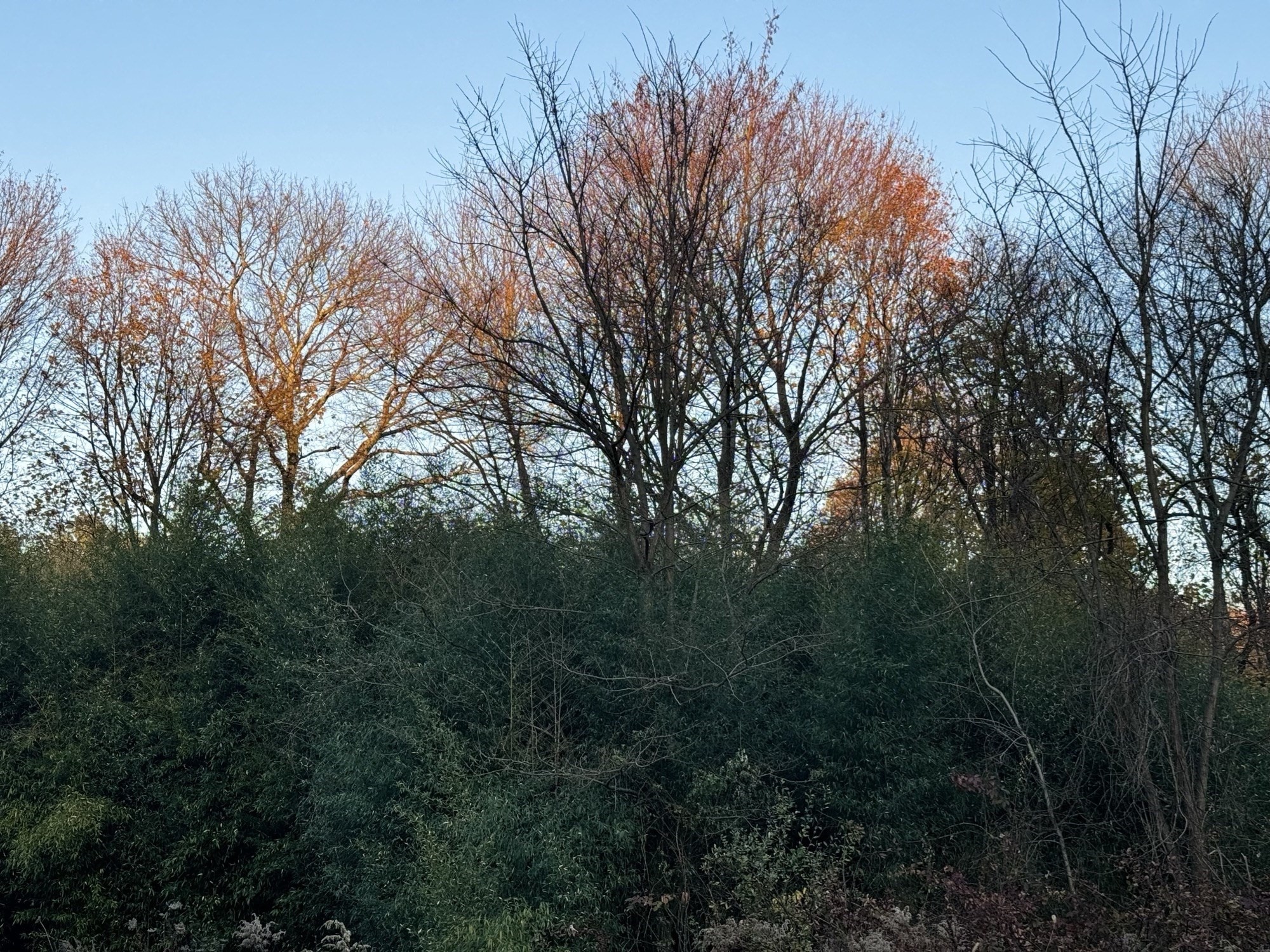 8 Lawler Ln, Stoughton, MA 02072 - Image 2