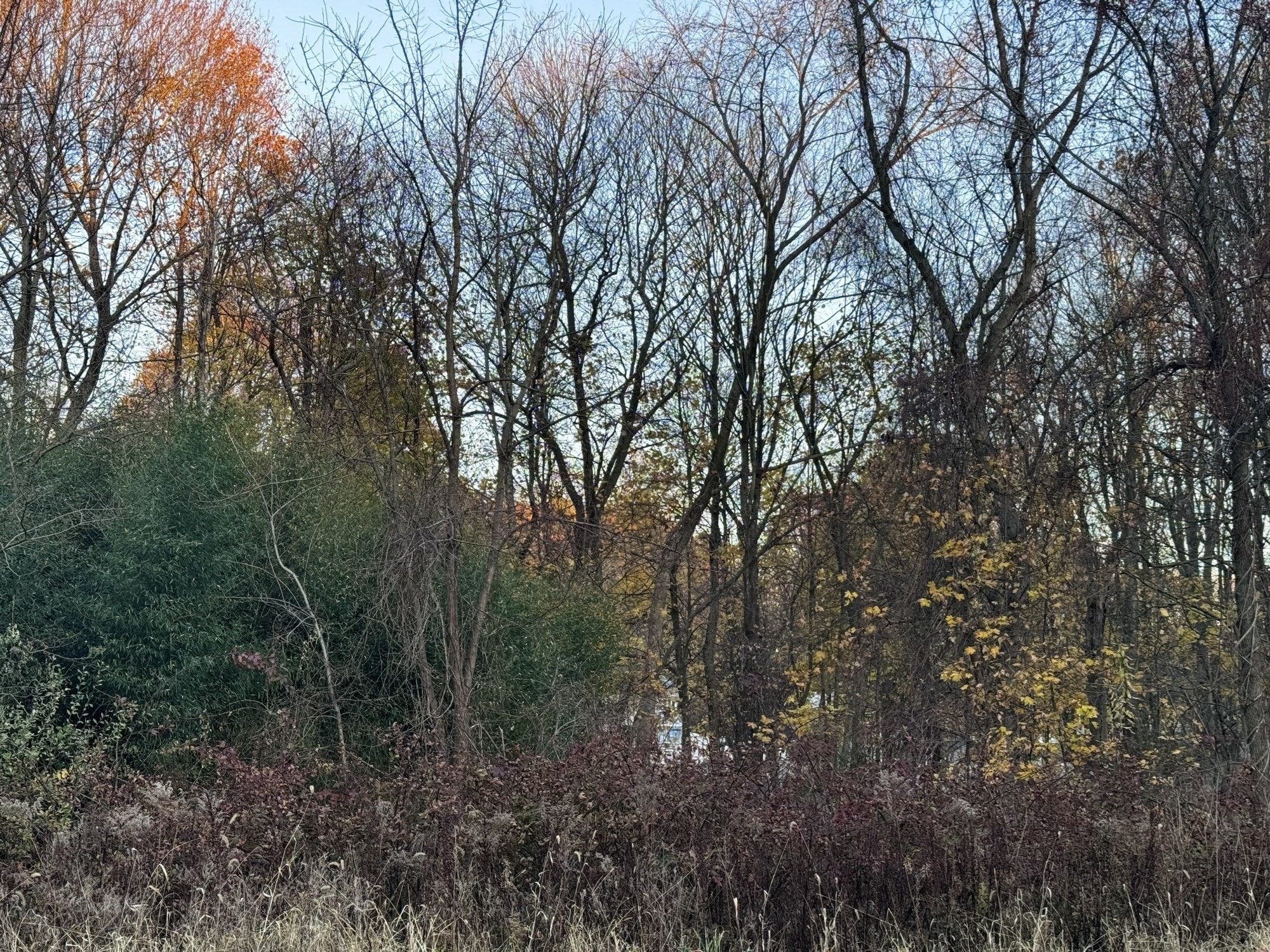 8 Lawler Ln, Stoughton, MA 02072 - Image 5