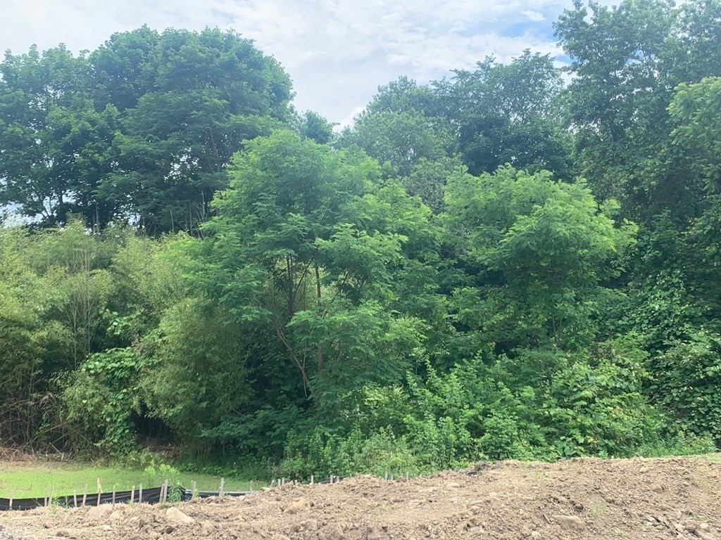 8 Lawler Ln, Stoughton, MA 02072 - Image 8