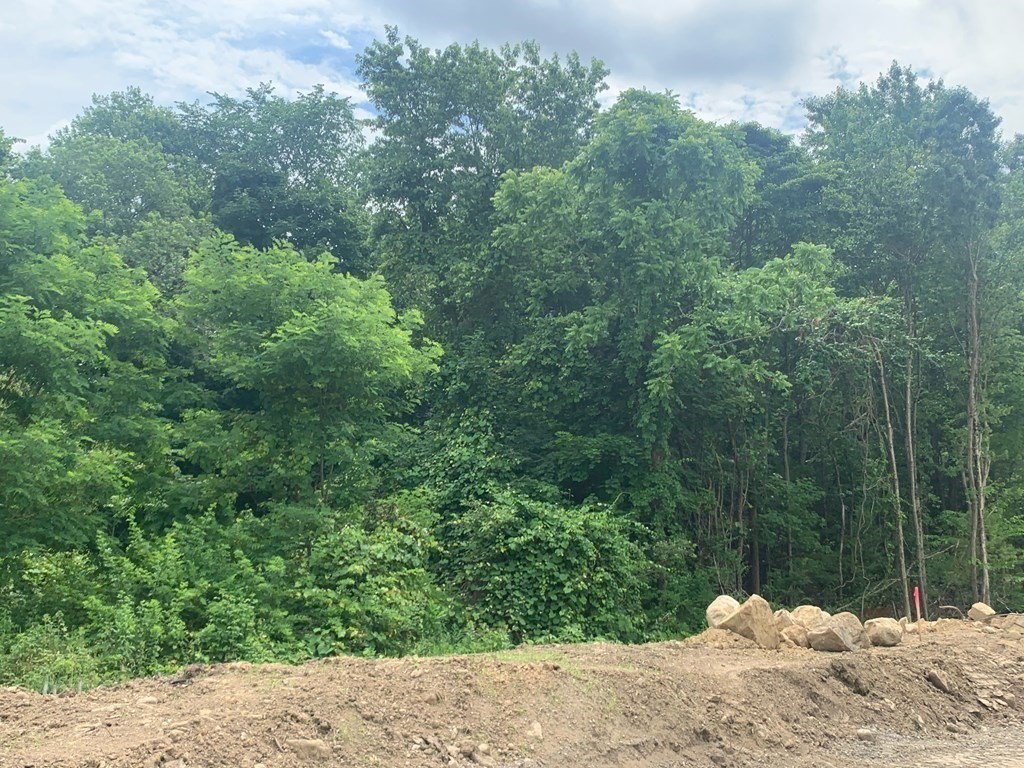 8 Lawler Ln, Stoughton, MA 02072 - Image 10