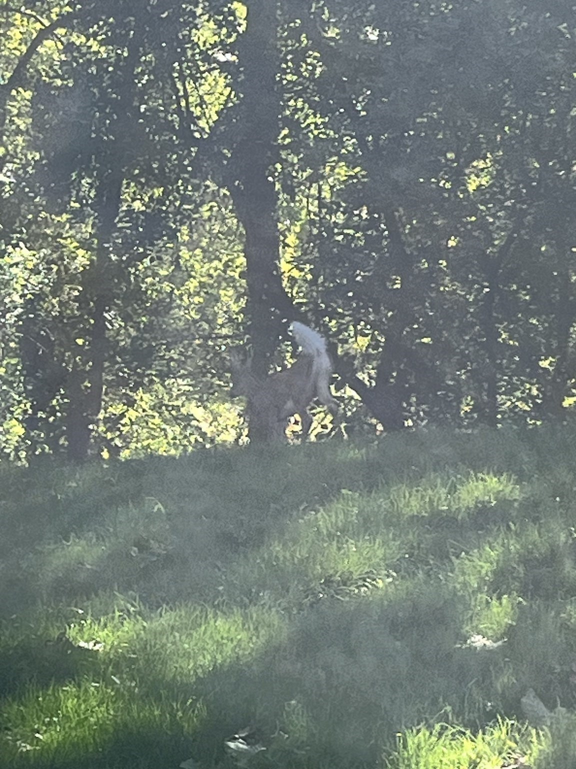 620 Edmands Rd, Framingham, MA 01701 - Image 41