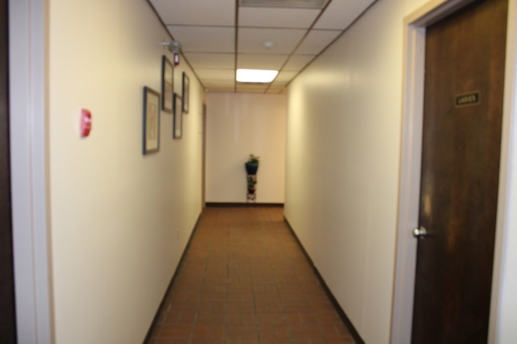 2285 Massachusetts Ave Unit 203, Cambridge, MA 02140 - Image 6