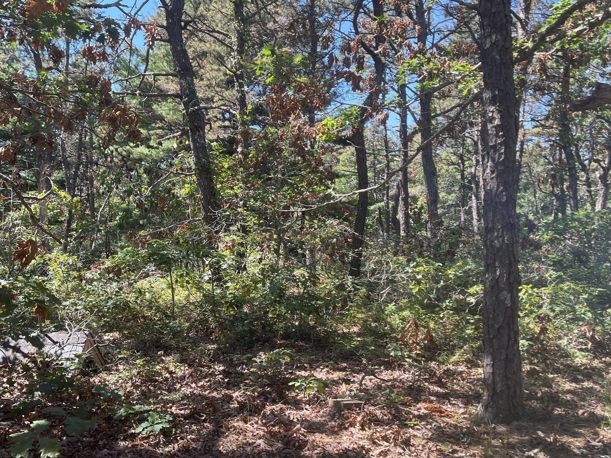 10 Shadbush, Mashpee, MA 02649 - Image 8