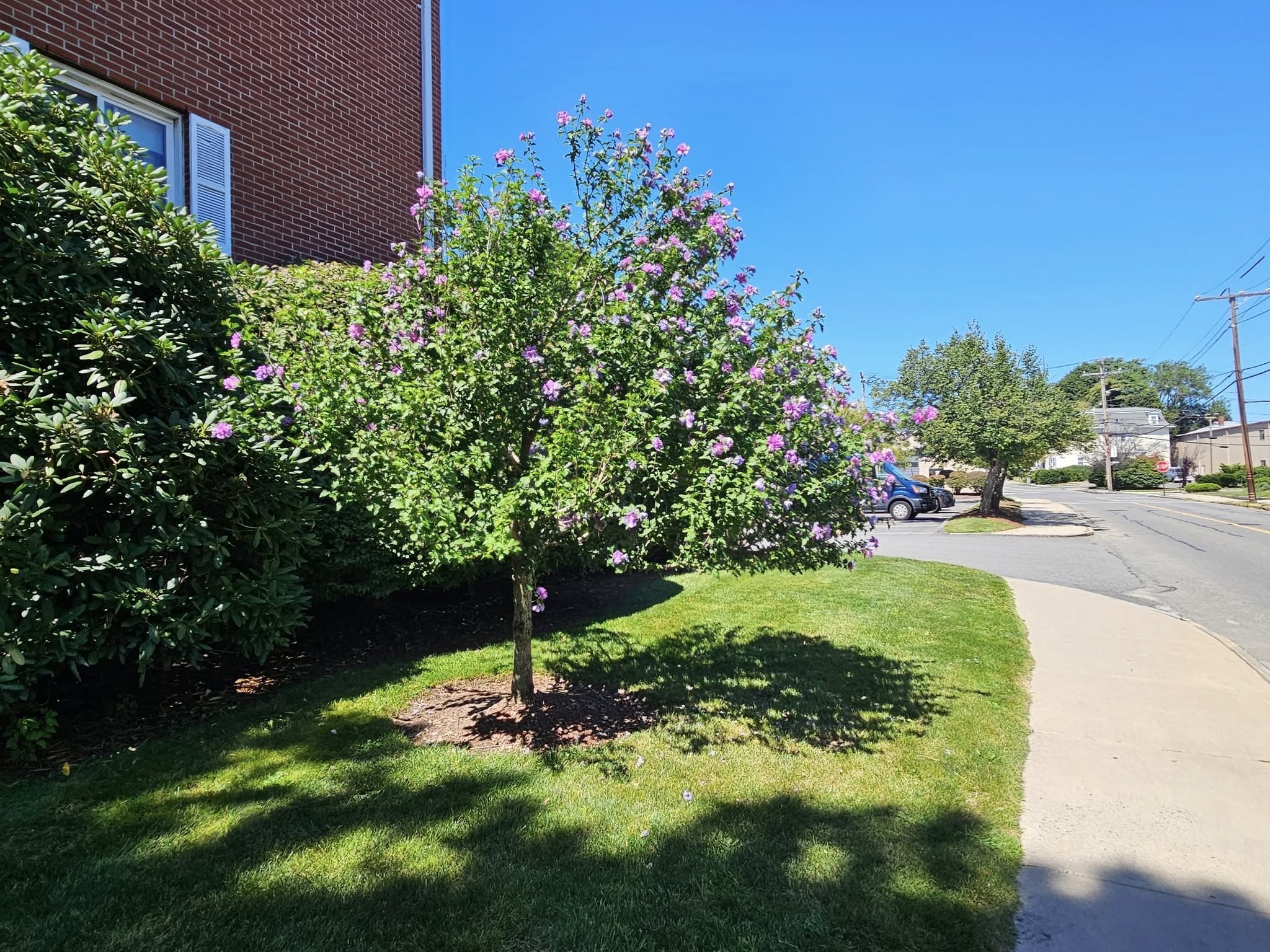 35 Prospect Street Unit 215, Woburn, MA 01801 - Image 38