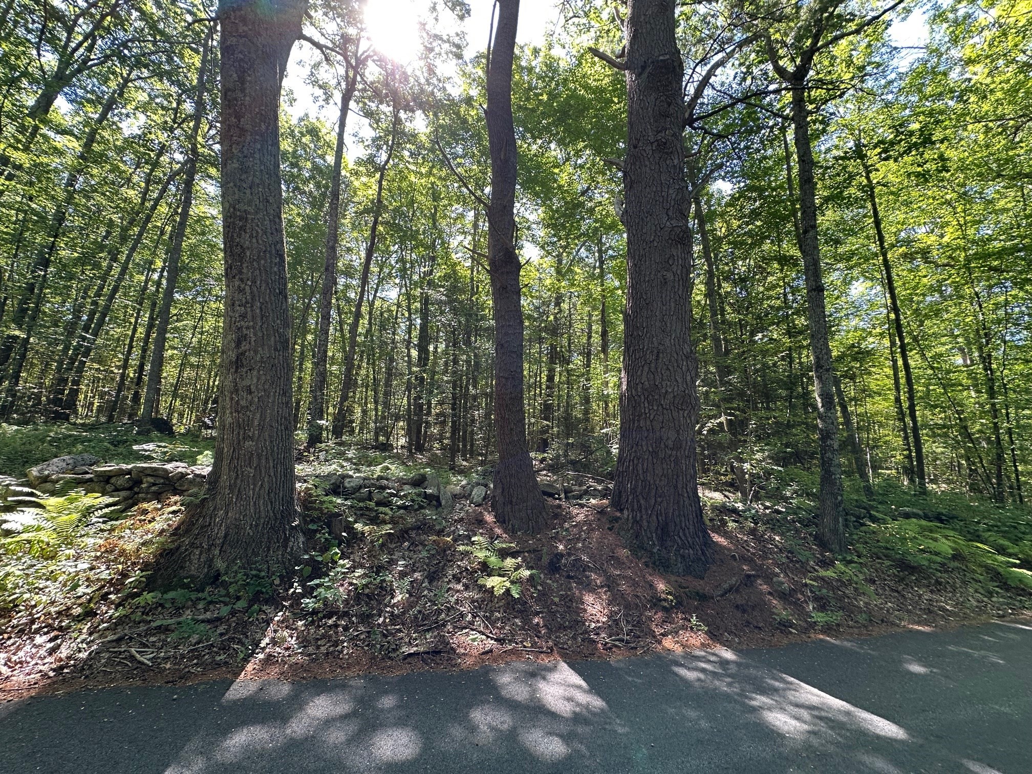 0 Nichewaug Rd, Petersham, MA 01366 - Image 2