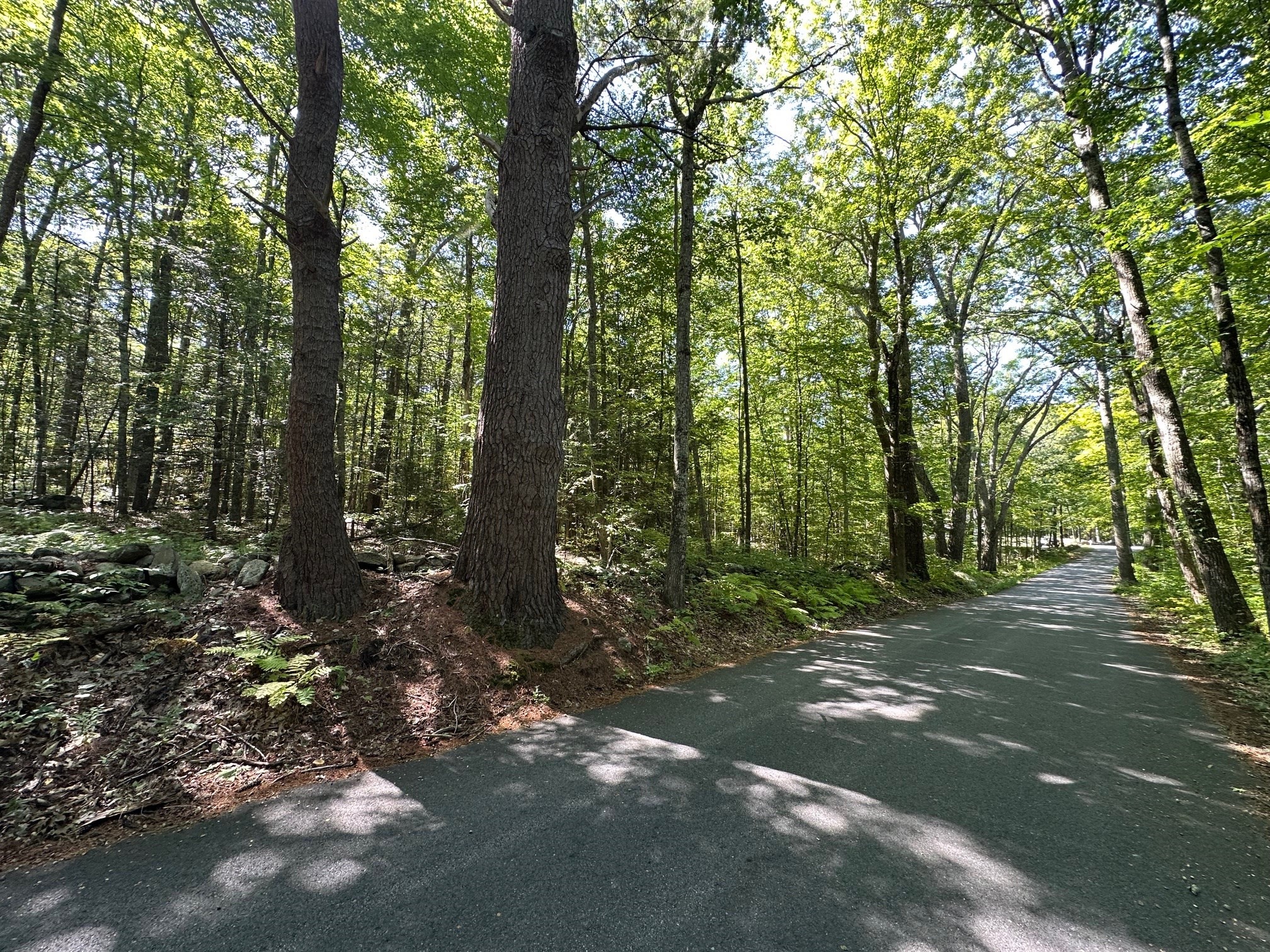 0 Nichewaug Rd, Petersham, MA 01366 - Image 3