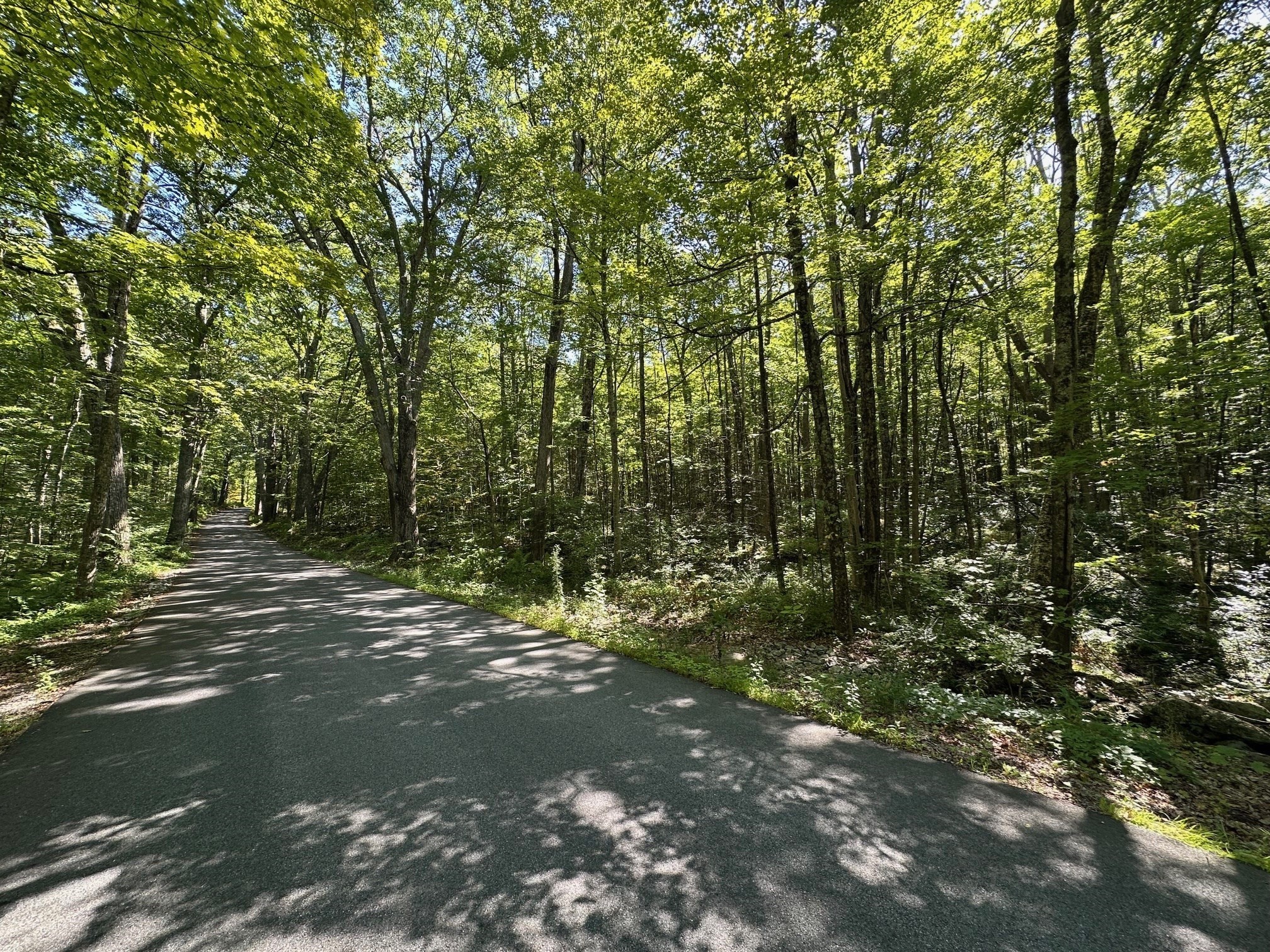 0 Nichewaug Rd, Petersham, MA 01366 - Image 4