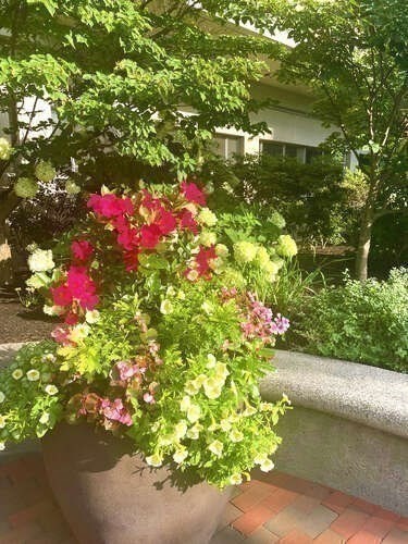 8 Whittier Unit 21E, West End, Boston, MA 02114 - Image 31