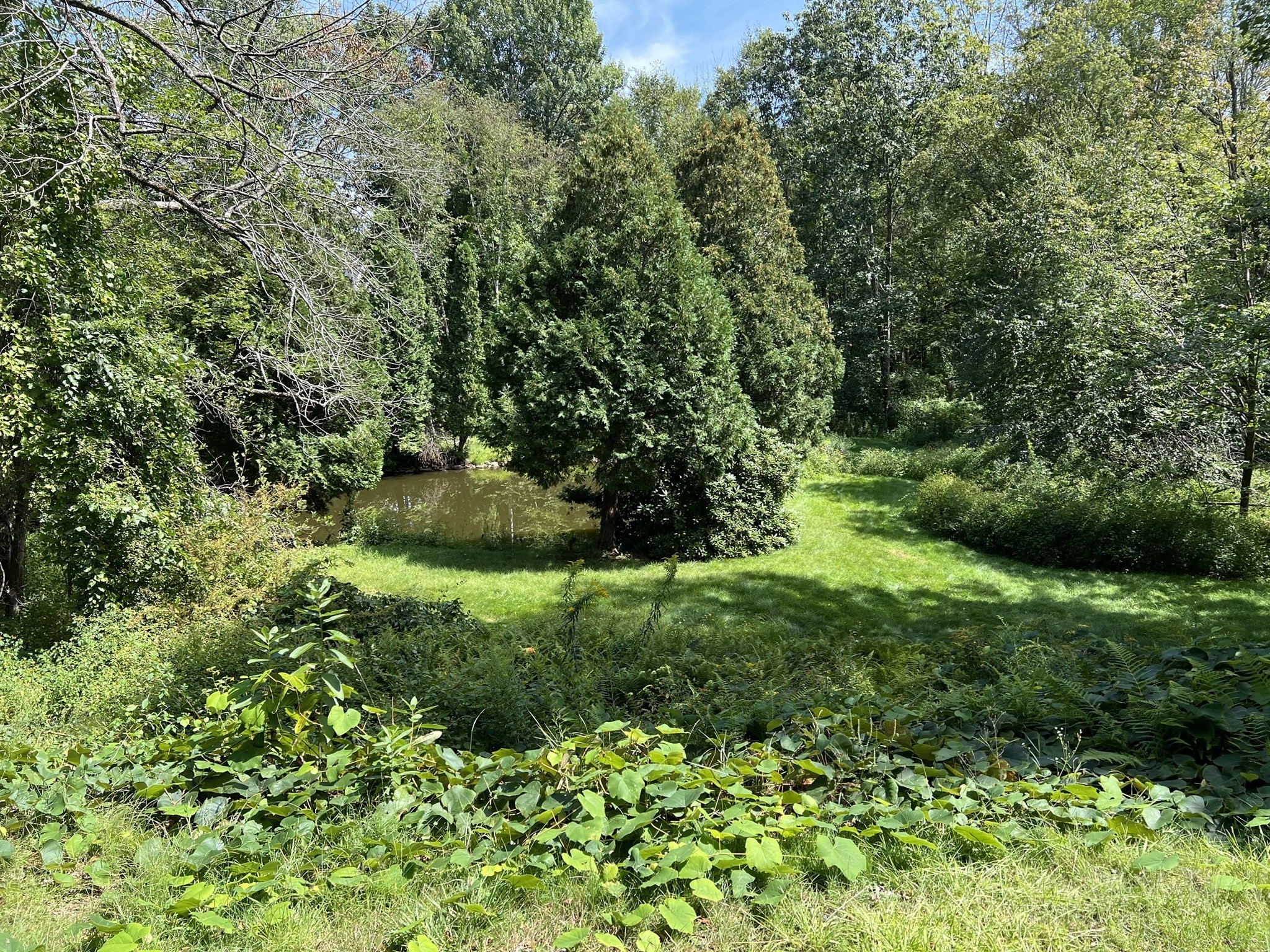 221 Pierce Road, West Brookfield, MA 01585 - Image 13