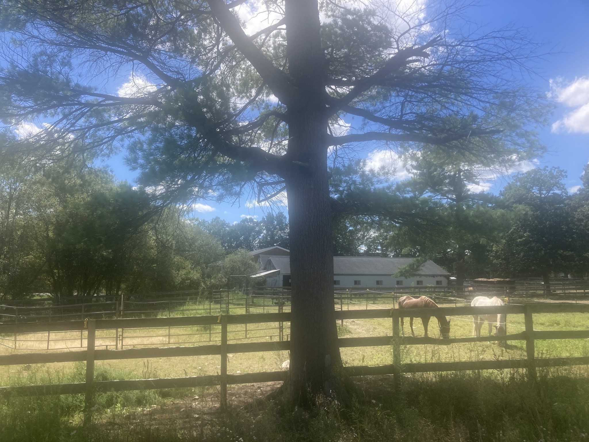 102 High St, Plainville, MA 02762 - Image 17