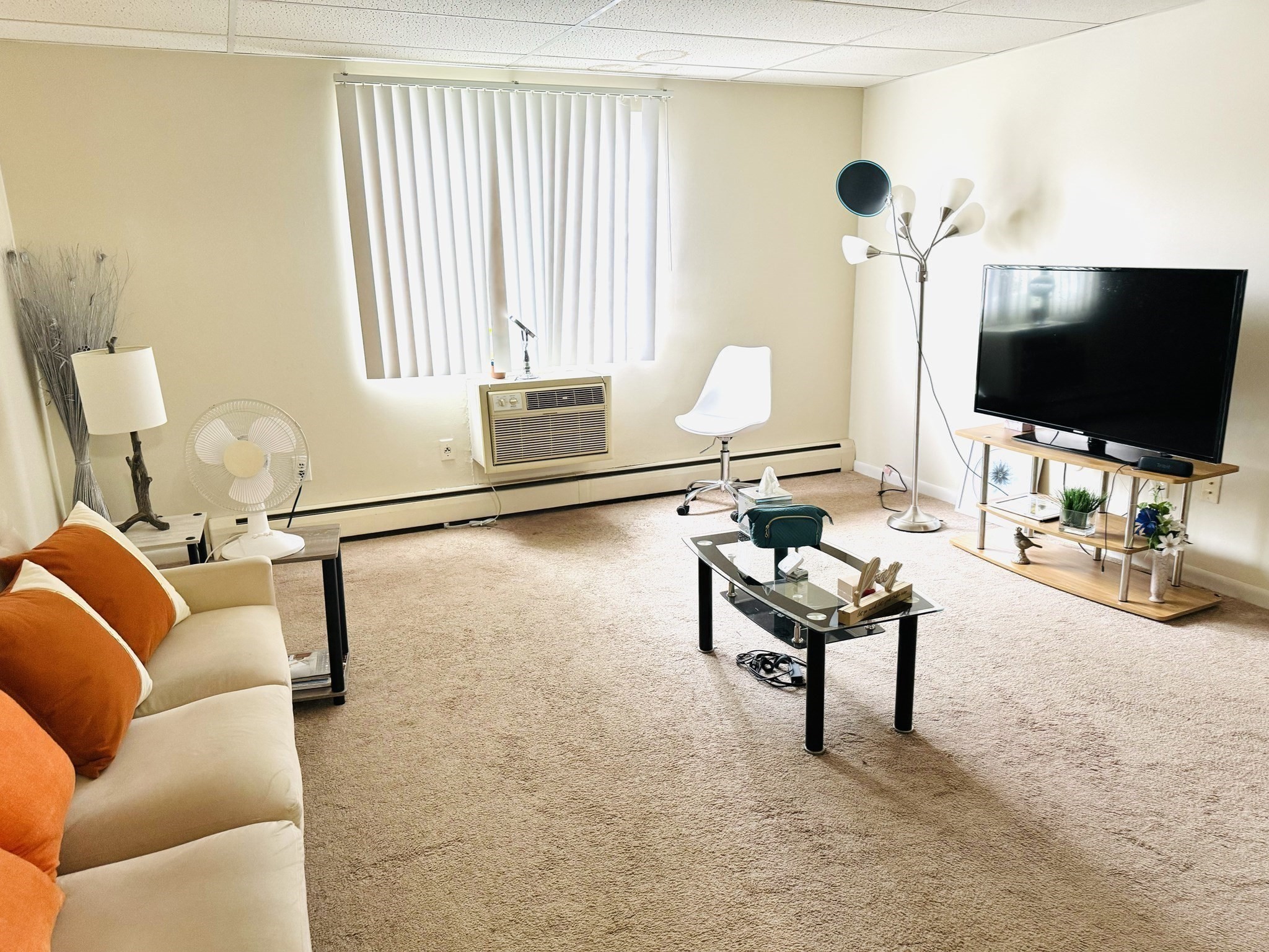 215 Chelmsford St Unit 18, Chelmsford, MA 01824 - Image 7