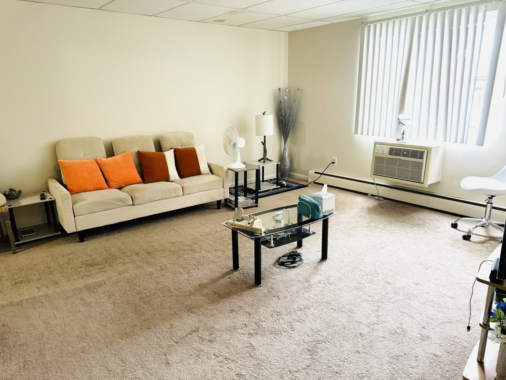 215 Chelmsford St Unit 18, Chelmsford, MA 01824 - Image 8