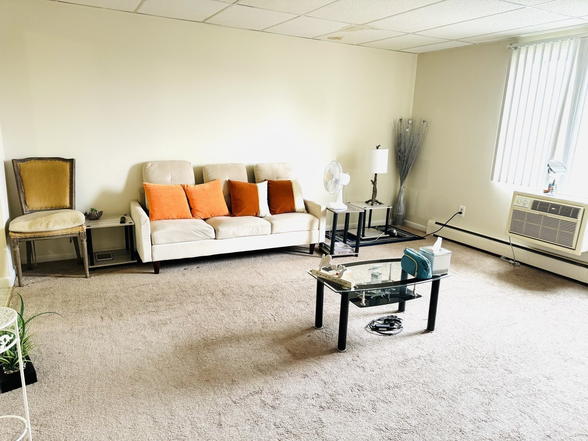 215 Chelmsford St Unit 18, Chelmsford, MA 01824 - Image 9