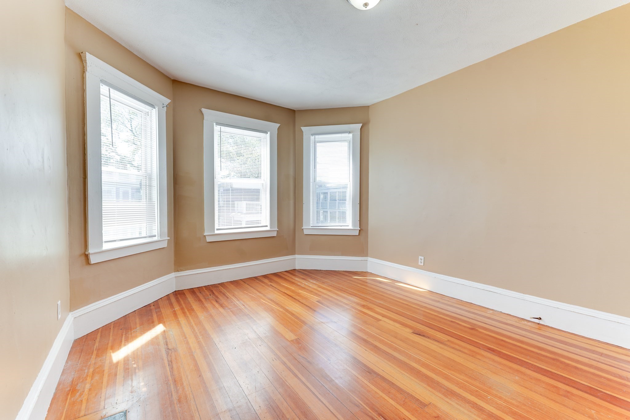 8 Ridgewood St, Dorchester, Boston, MA 02122 - Image 15