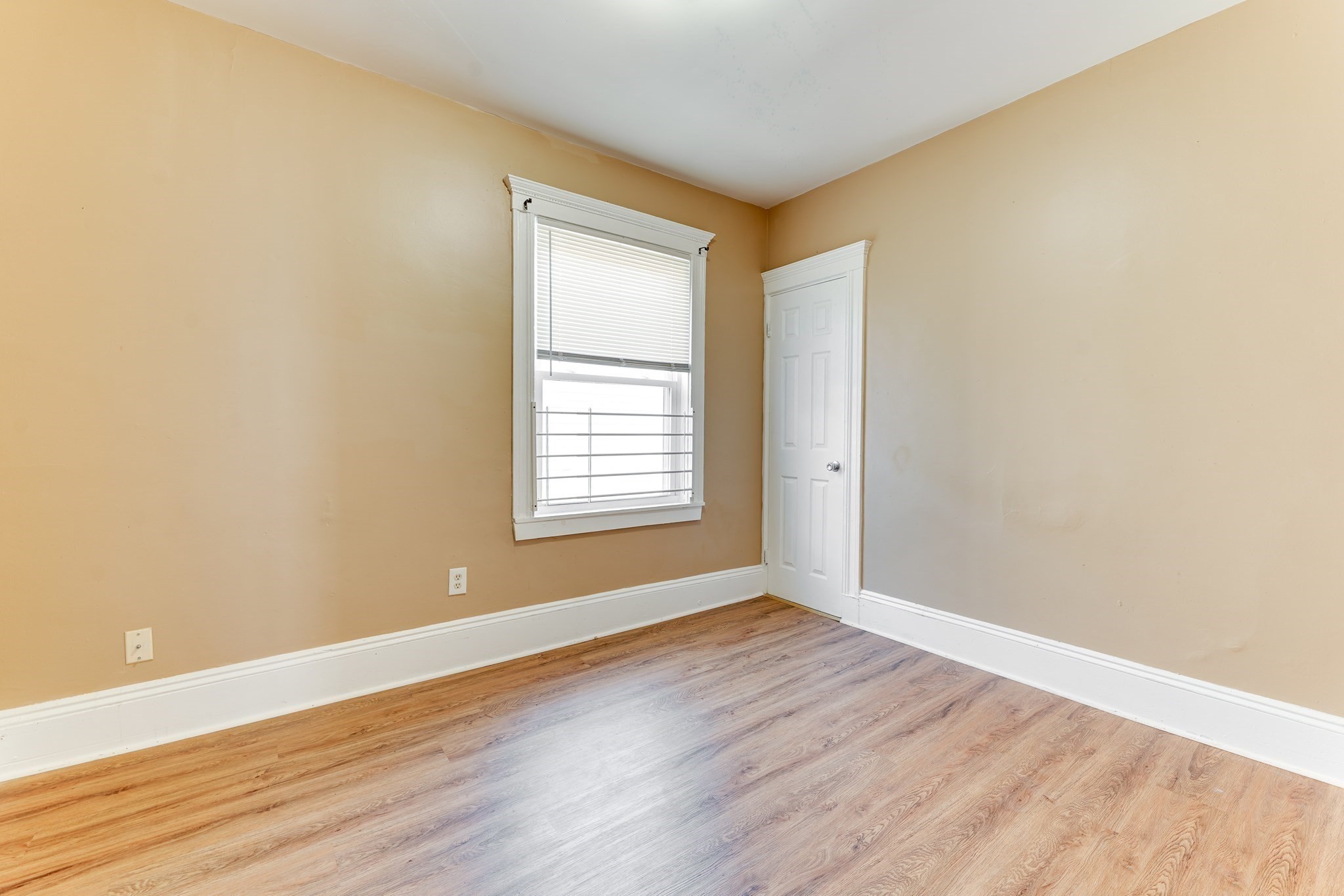 8 Ridgewood St, Dorchester, Boston, MA 02122 - Image 16