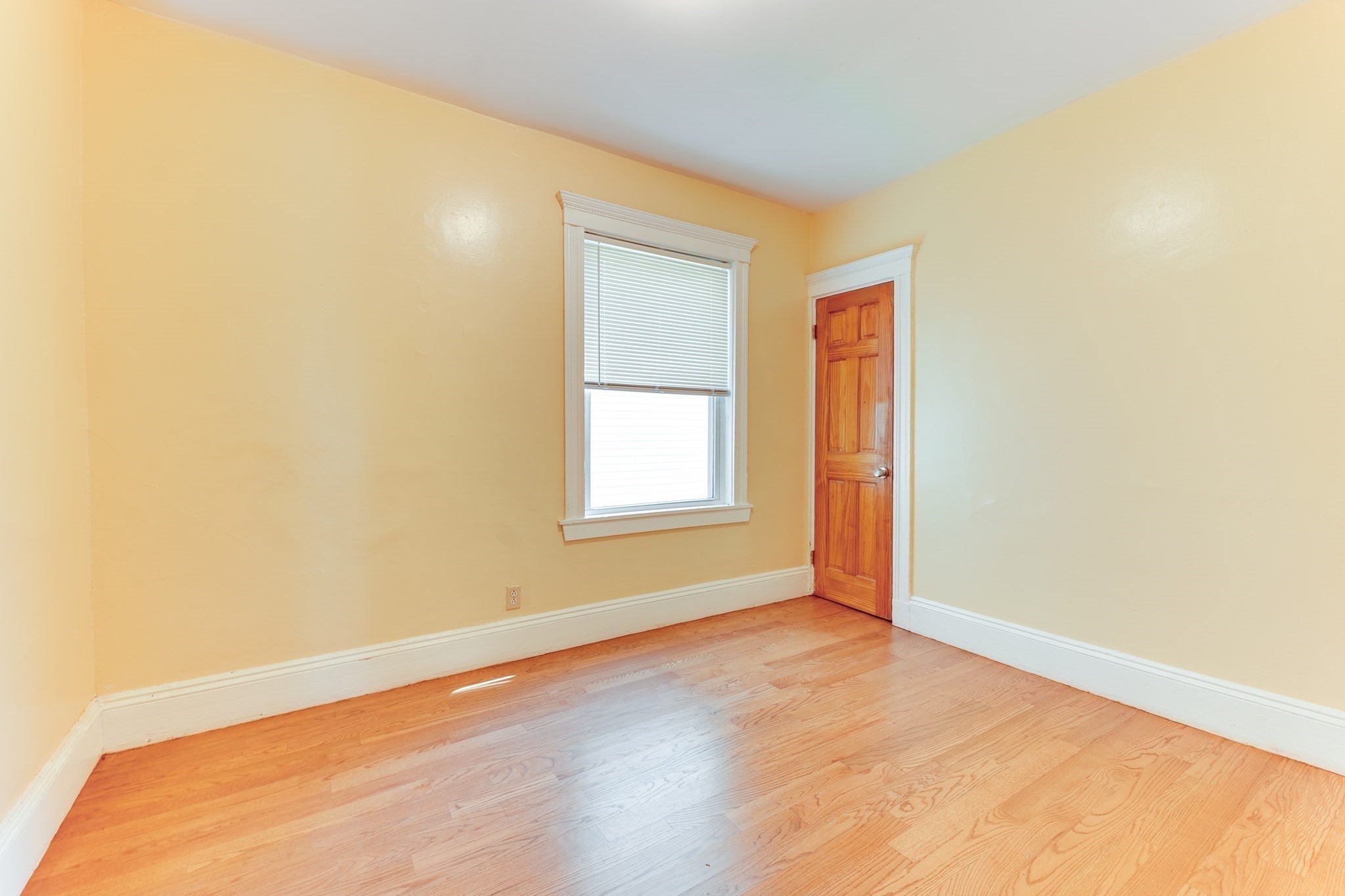 8 Ridgewood St, Dorchester, Boston, MA 02122 - Image 6